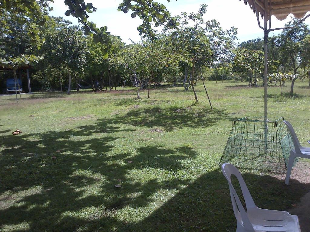 Ladaga Inn & Restaurant Panglao Island Exterior photo