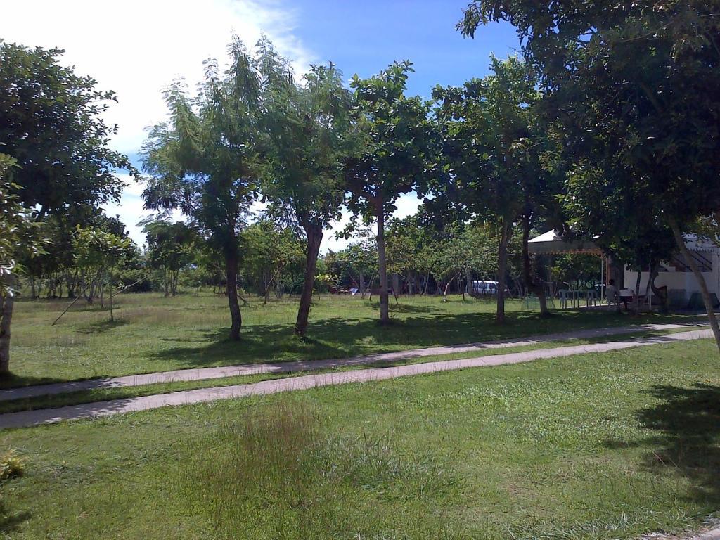 Ladaga Inn & Restaurant Panglao Island Exterior photo